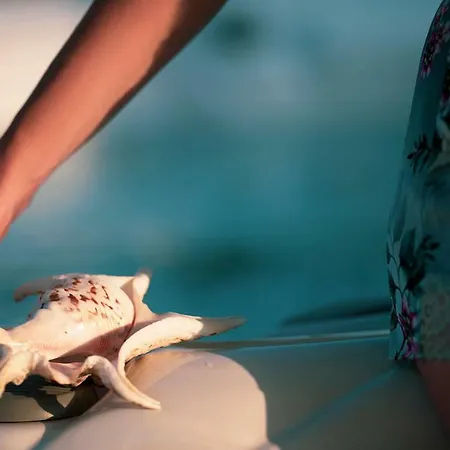 Floating Sea House Principessa